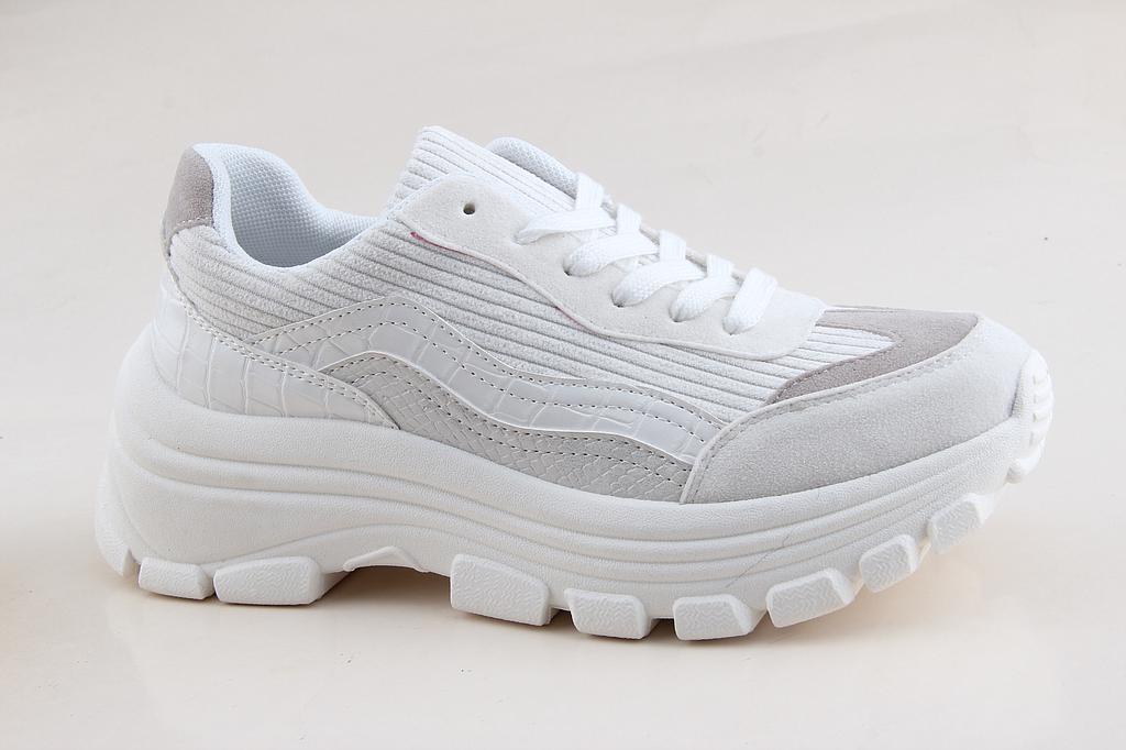 GC069B-01