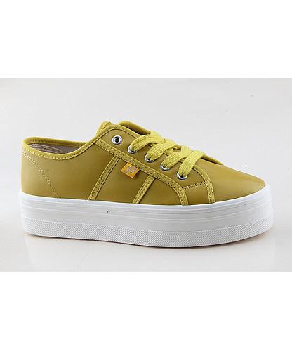 GC018A-231